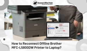 How to Reconnect Offline Brother MFC-L5800DW Printer to Laptop?